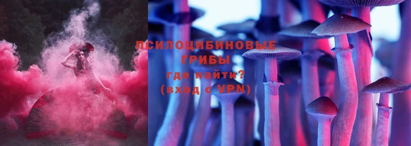 дурь Белокуриха