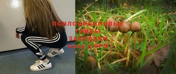 спиды Сосновоборск