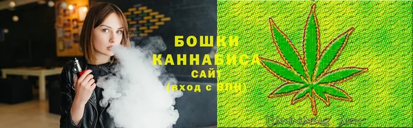 дурь Белокуриха